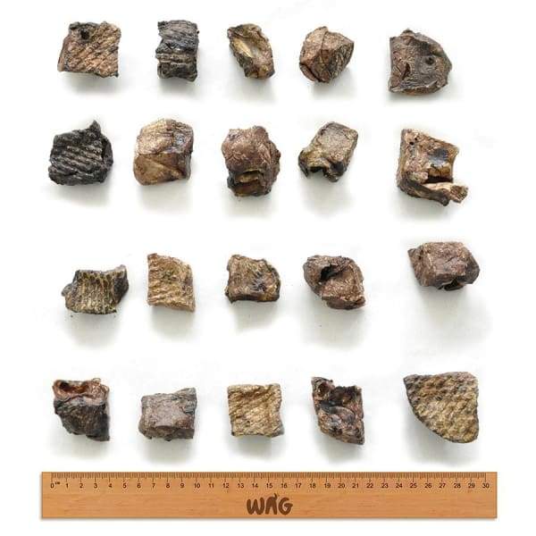 WAG [$14.90 OFF*] WAG Kangaroo Cube Air-Dried Dog Treats 50g Dog Food & Treats