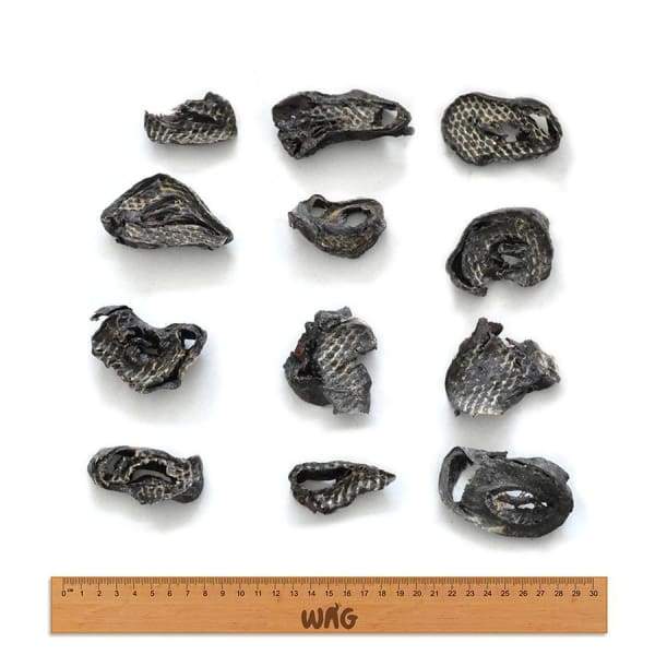 WAG [$19.90 OFF*] WAG Premium Kangaroo Fillet Air Dried Dog Treats 50g Dog Food & Treats