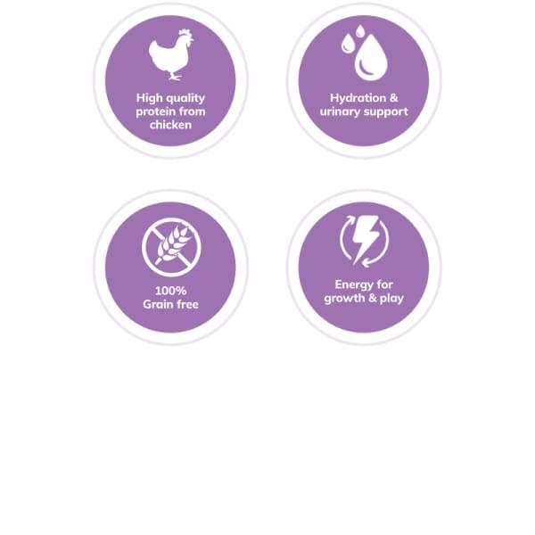 Wellness [20% OFF*] Wellness Complete Health Pate Chicken Canned Cat Food 156g Cat Food & Treats