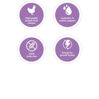 Wellness [20% OFF*] Wellness Complete Health Pate Chicken Canned Cat Food 156g Cat Food & Treats