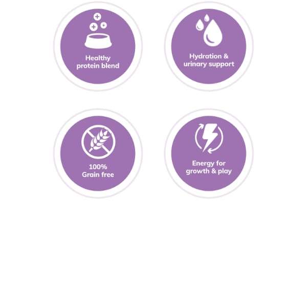 Wellness [20% OFF*] Wellness Complete Health Pate Chicken & Lobster Canned Cat Food 156g Cat Food & Treats