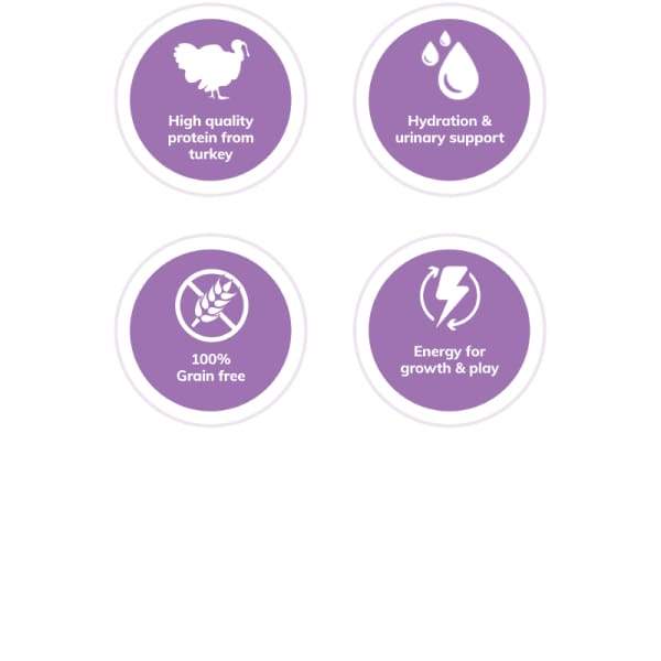 Wellness [20% OFF*] Wellness Complete Health Pate Turkey Canned Cat Food 156g Cat Food & Treats