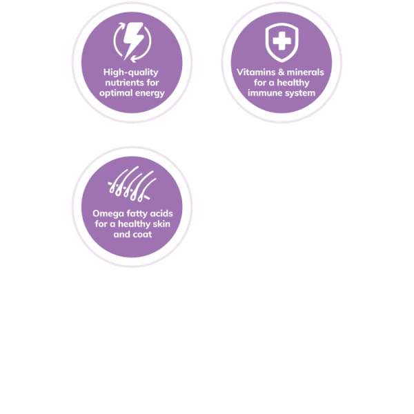 Wellness [20% OFF*] Wellness Complete Health Pate Venison & Sweet Potato Meal Mixers/toppers for Dog 354g Dog Food & Treats