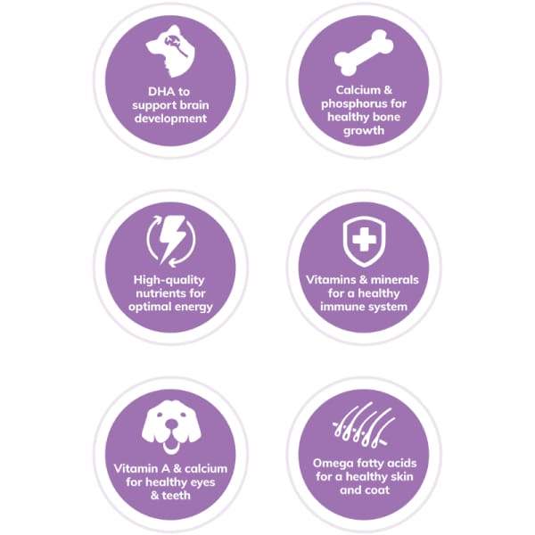 Wellness [20% OFF] Wellness Complete Health Small Breed Puppy Dry Dog Food 4lb Dog Food & Treats