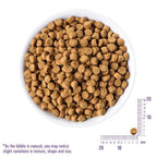 Wellness [20% OFF] Wellness Complete Health Small Breed Puppy Dry Dog Food 4lb Dog Food & Treats