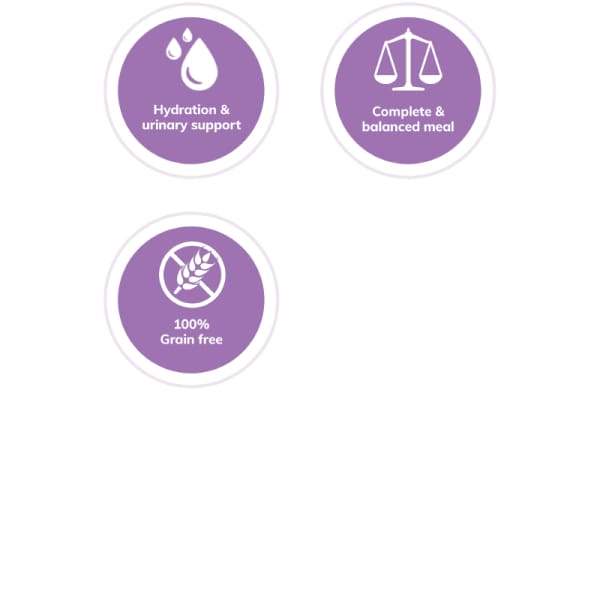 Wellness [20% OFF*] Wellness Core 95 Pate Turkey Grain-free Canned Cat Food 156g Cat Food & Treats