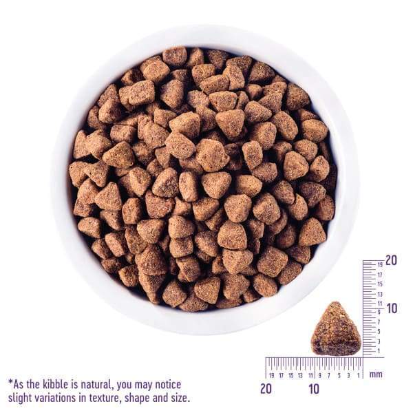 Wellness [20% OFF + FREE FOOD & TREATS*] Wellness Core Grain-free Senior Dry Dog Food Dog Food & Treats