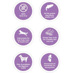 Wellness [20% OFF + FREE FOOD & TREATS*] Wellness CORE Grain-Free Ocean Formula Dry Dog Food Dog Food & Treats