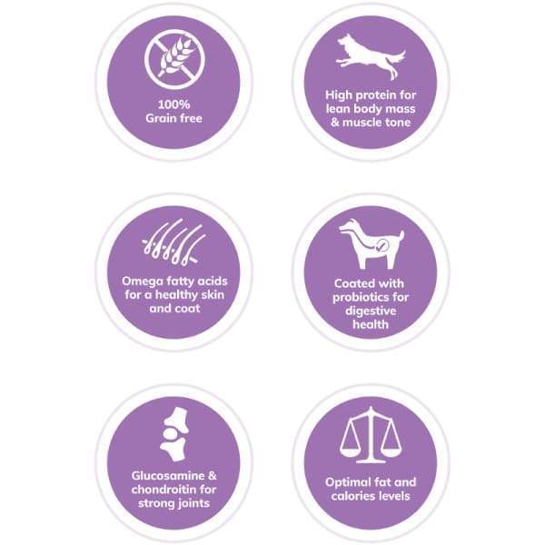 Wellness [20% OFF + FREE FOOD & TREATS*] Wellness CORE Grain-Free Original Formula Dry Dog Food Dog Food & Treats
