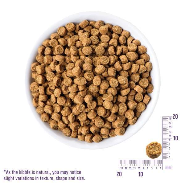 Wellness [20% OFF + FREE FOOD & TREATS*] Wellness CORE Grain-Free Puppy Formula Dry Dog Food Dog Food & Treats