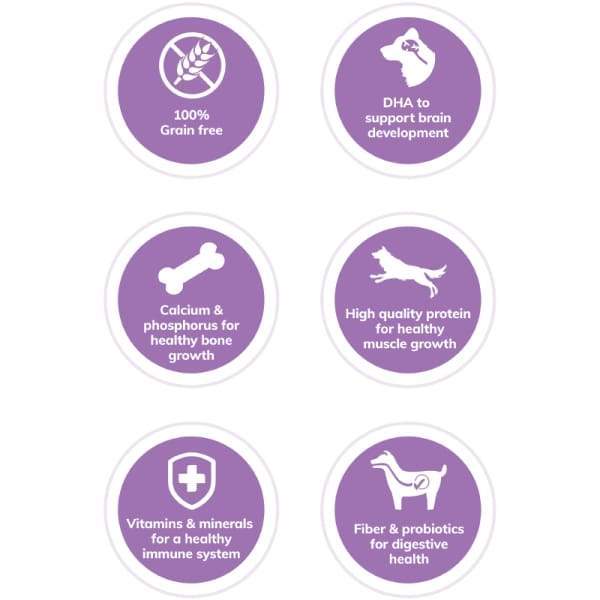 Wellness [20% OFF + FREE FOOD & TREATS*] Wellness CORE Grain-Free Puppy Formula Dry Dog Food Dog Food & Treats