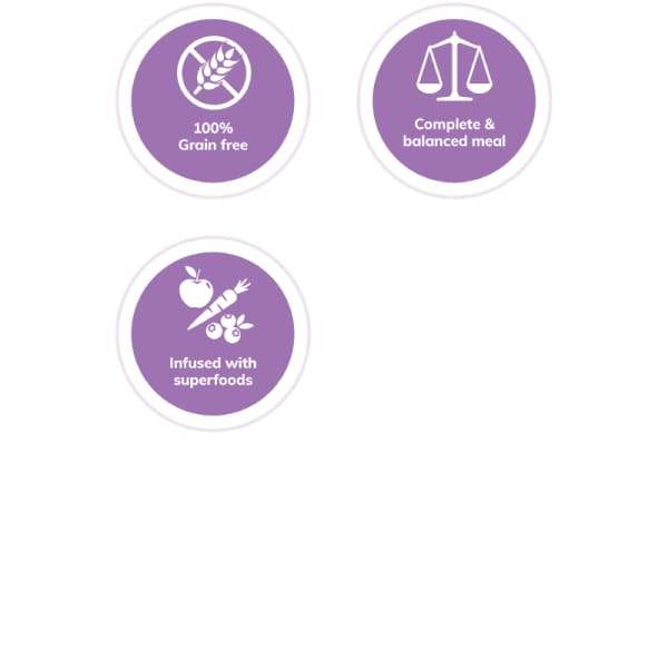 Wellness [20% OFF*] Wellness CORE Grain-Free Salmon Whitefish & Herring Canned Dog Food 354g Dog Food & Treats