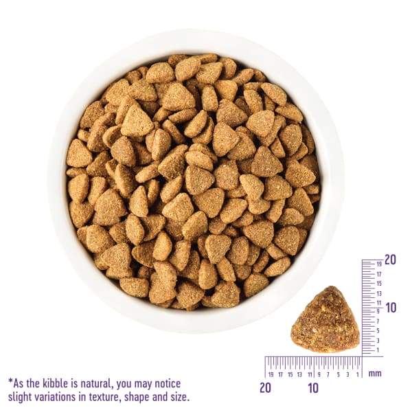 Wellness [20% OFF + FREE FOOD & TREATS] Wellness Core Large Breed Grain-free Puppy Dry Dog Food 24lbs Dog Food & Treats