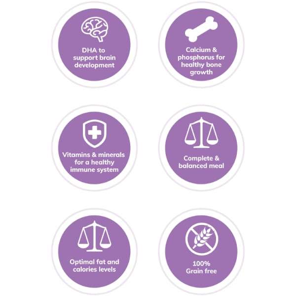 Wellness [20% OFF + FREE FOOD & TREATS] Wellness Core Large Breed Grain-free Puppy Dry Dog Food 24lbs Dog Food & Treats