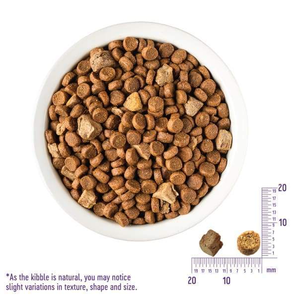 Wellness [20% OFF] Wellness CORE RawRev Original + 100% Raw Turkey Dry Cat Food Cat Food & Treats