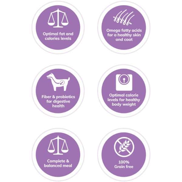 Wellness [20% OFF + FREE FOOD*] Wellness Core Small Breed Grain-free Healthy Weight Dry Dog Food Dog Food & Treats