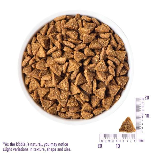 Wellness [20% OFF + FREE FOOD*] Wellness Core Small Breed Grain-free Healthy Weight Dry Dog Food Dog Food & Treats