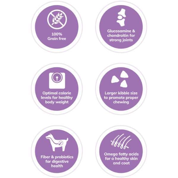 Wellness [20% OFF + FREE FOOD & TREATS] Wellness Core Large Breed Grain-free Original Dry Dog Food Dog Food & Treats
