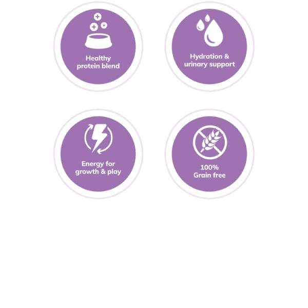 Wellness [Buy 3 Get 1 Free] Wellness Healthy Indulgence Morsels Chicken & Salmon Wet Cat Food 3oz Cat Food & Treats