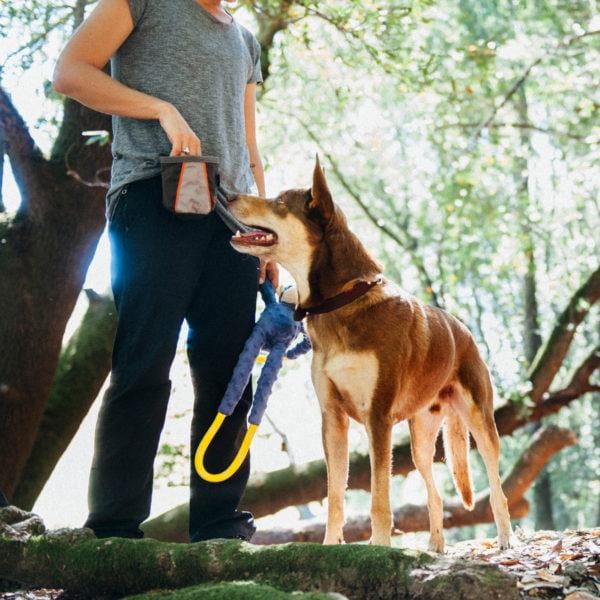 ZippyPaws [10% OFF] ZippyPaws Adventure Forest Green Dog Treats Bag Dog Accessories