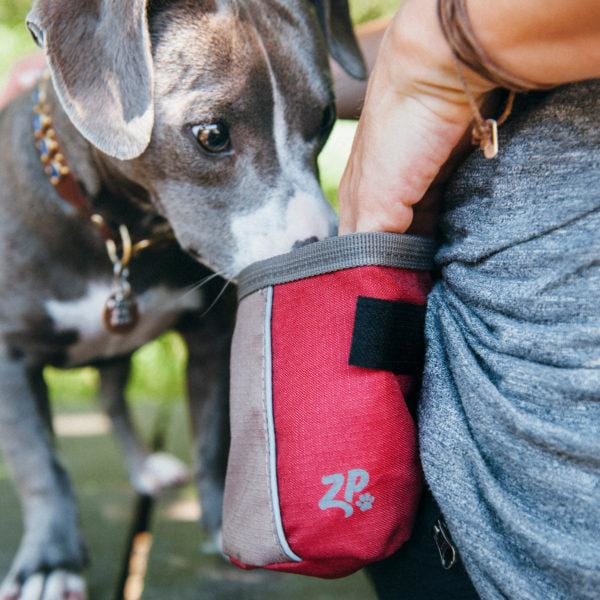 ZippyPaws [10% OFF] ZippyPaws Adventure Graphite Dog Treats Bag Dog Accessories