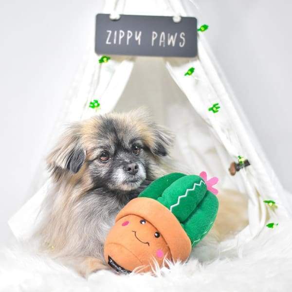 ZippyPaws [10% OFF] ZippyPaws Carmen The Cactus Dog Accessories