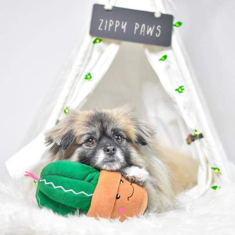 ZippyPaws [10% OFF] ZippyPaws Carmen The Cactus Dog Accessories