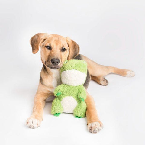 ZippyPaws [10% OFF] ZippyPaws Cheeky Chumz Frog Dog Toy Dog Accessories