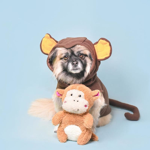 ZippyPaws [10% OFF] ZippyPaws Cheeky Chumz Monkey Dog Toy Dog Accessories